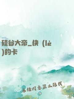 硅谷大帝