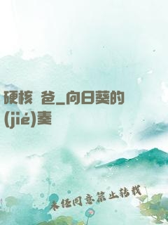硬核廚爸