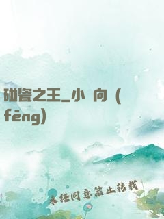 碰瓷之王