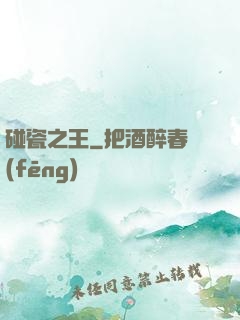 碰瓷之王
