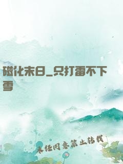 磁化末日