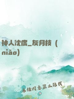 神人沈度