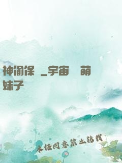 神偷保鏢