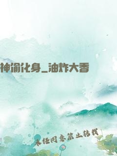 神偷化身