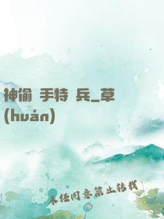 神偷殺手特種兵
