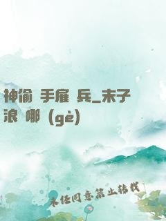 神偷殺手雇傭兵