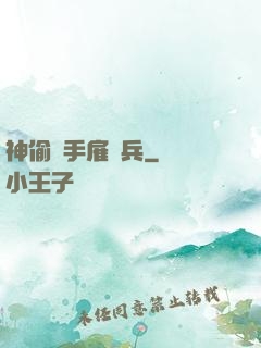 神偷殺手雇傭兵