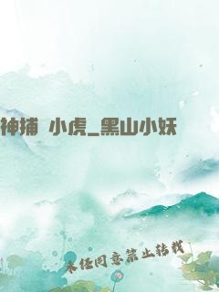 神捕聶小虎
