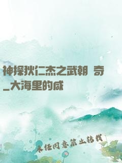神探狄仁杰之武朝傳奇