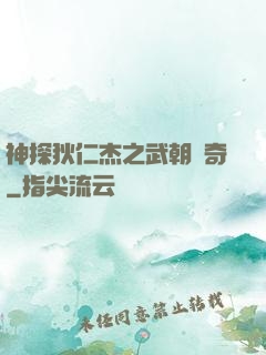 神探狄仁杰之武朝傳奇
