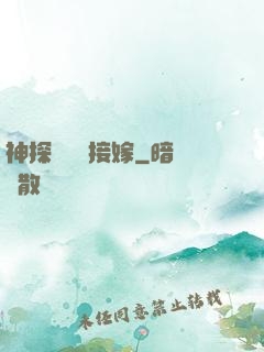 神探駙馬請接嫁