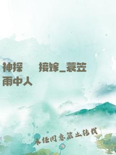 神探駙馬請接嫁