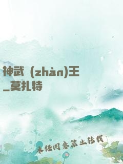 神武戰(zhàn)王