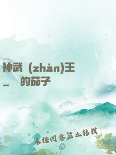 神武戰(zhàn)王