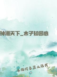 神洲天下