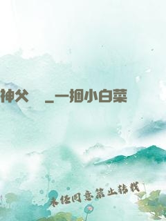 神父馬維