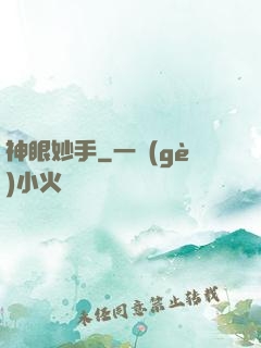 神眼妙手