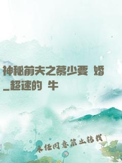 神秘前夫之慕少要復婚
