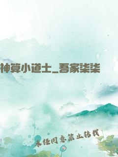 神算小道士