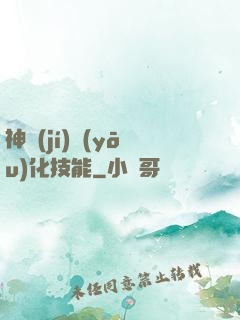 神級(jí)優(yōu)化技能