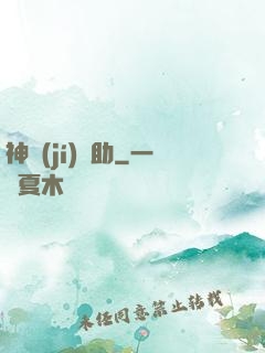 神級(jí)輔助