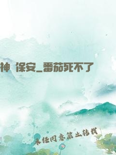 神級保安