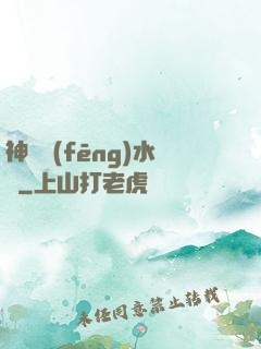 神級風(fēng)水師