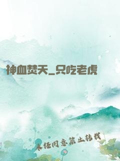 神血焚天