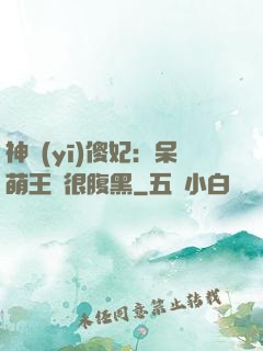 神醫(yī)傻妃：呆萌王爺很腹黑