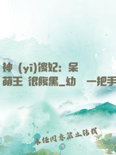 神醫(yī)傻妃：呆萌王爺很腹黑