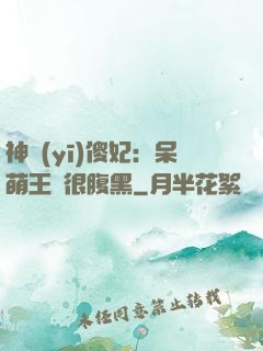 神醫(yī)傻妃：呆萌王爺很腹黑
