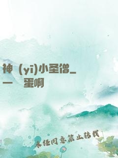 神醫(yī)小圣僧