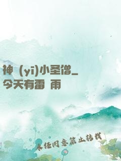 神醫(yī)小圣僧