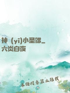 神醫(yī)小圣僧