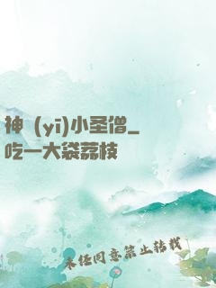 神醫(yī)小圣僧