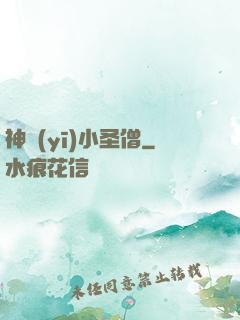 神醫(yī)小圣僧