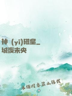 神醫(yī)磁皇