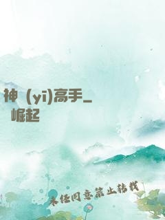 神醫(yī)高手