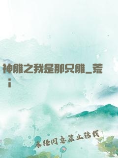神雕之我是那只雕