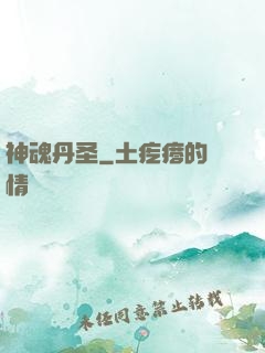 神魂丹圣