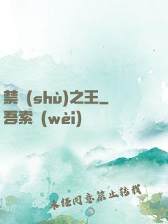 禁術(shù)之王