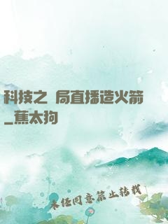 科技之開局直播造火箭