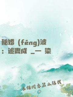 秘婚風(fēng)波：追妻成癮