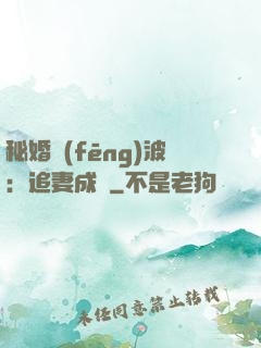 秘婚風(fēng)波：追妻成癮