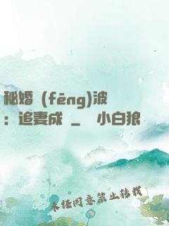 秘婚風(fēng)波：追妻成癮