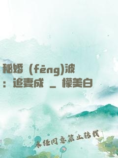 秘婚風(fēng)波：追妻成癮