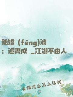 秘婚風(fēng)波：追妻成癮
