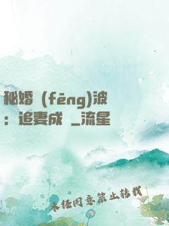 秘婚風(fēng)波：追妻成癮