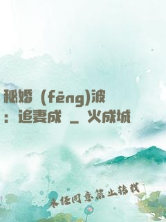 秘婚風(fēng)波：追妻成癮