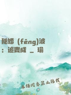 秘婚風(fēng)波：追妻成癮
